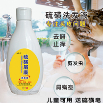 Hair cut bug shampoo to remove dandruff itch rash shampoo Sulfur soap shampoo Shanghai sulfur shampoo cream