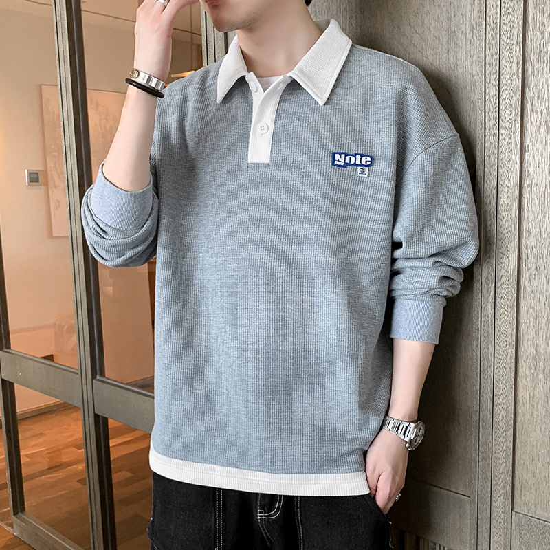 Long sleeved T-shirt for men in autumn and winter, Korean version, trendy lapel, plush and thick upper garment, trendy brand waffle polo shirt