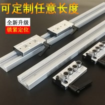 Built-in dual axis center linear motion guide SGR15 20 locking positioning aluminum slider precision mechanical sliding table track