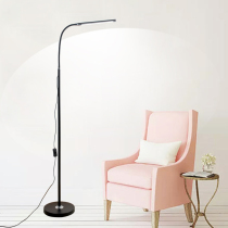 Qin light LED learning floor lamp bedroom study vertical table lamp piano lamp simple modern living room floor lamp