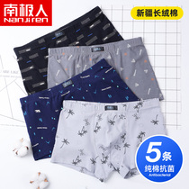 Antarctic men mens cotton underwear mens summer thin breathable antibacterial crotch boxer personality tide sexy four-corner bottoms