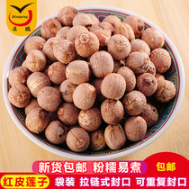 Red skin lotus seeds new goods Xianglian non-core lotus seed farm dry goods inch three Lotus red lily lotus seed lily lotus porridge