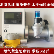  Industrial and commercial natural gas leak alarm electromagnetic shut-off valve Automatic control valve Gas explosion-proof solenoid valve