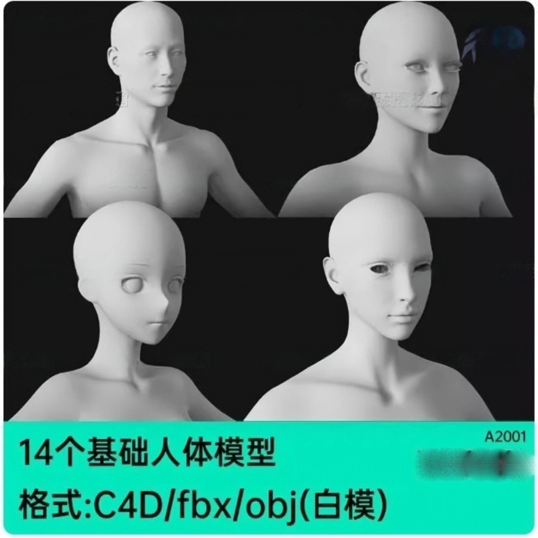 素体人体模型-素体人体模型促销价格、素体人体模型品牌- 淘宝
