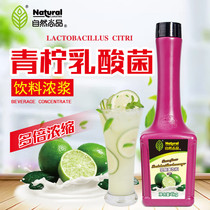 Natural Shangpin lime milk lemon acid bacteria drink 1kg lime yogurt thick pulp drink milk tea shop raw materials Brown label products