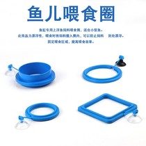 Fish tank feeding ring fish feeding ring fish feeding ring suspension large floating fixed ring large 0916n