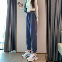 Sports pants womens loose leg pants casual pants spring and autumn and winter plus velvet thickened outer wear small man lantern pants