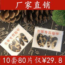 Guzheng Nails Children Adult Beginner Hawksbill Color Professional Performance Thin Thick Finger Ginger artifact