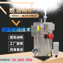 Oil-fired steam boiler industrial edible fungus sterilization energy saving and environmental protection small diesel brewing steam generator commercial