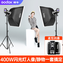 Shenniu Photography Lamp SK400II Second Generation Flash 600W Shadow Flash Room Lamp Set Clothing Portrait