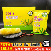 First-class Northeast Heilongjiang non-genetically modified Sannong Sweet glutinous corn cob rice quick-frozen fresh corn 18 sticks