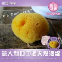 Итальянская средиземноморская естественная губка/короткая и глубокая глубокая чистка удаляет угловой головы, чтобы отшелучать [Королева во дворце]