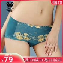 Huacole Wacoal Gorgeous Lace Comfort Cotton Ammonia Flat Corner Pants Underwear WP2518