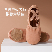 Full elastic cloth dance shoes female soft bottom teacher for adult dance professional children Cat Claw Free tie-up practice shoes