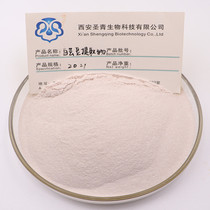 White Kidney Bean Extract 20:1 White Kidney Bean Hydrolyzed Protein Concentrate Powder Presented