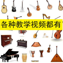 Professional flagship store violin self-study zero basic tutorial introductory learning video teaching training childrens course