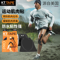 USA kttape muscle patch Running sports bandage Professional muscle internal effect patch Knee ligament strain tape