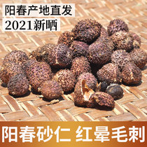 Yangchun straight hair Amomum wilderness wild dry spring Amomum fruit Chinese medicine nourishing stomach 2021 New 60 grams