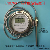Digital thermometer with probe WST DTM-491 high precision electronic industrial waterproof digital water temperature meter