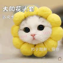  10 kinds of cat headgear Sun flower rabbit cute anti-bite anti-licking funny pet dog headgear hat birthday dress up