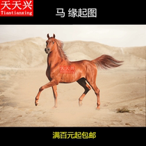 Every day Xingma the origin of the lotus pond the same origin the origin of the picture the burning of the paper