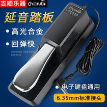 Sustain pedal electronic piano drum midi keyboard instrument universal pedal