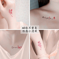 Tattoo waterproof female long-lasting clavicle sexy chest Net red ankle simulation letter female private parts not semi-permanent