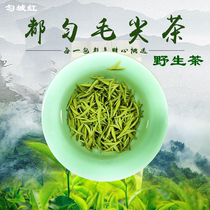 Wild small pot Duyun Maojian tea green tea super-packed Guizhou Maojian 2021 new tea before bright fragrance Spring