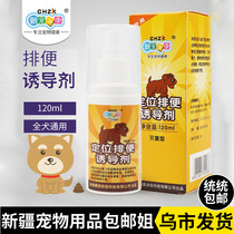 Xinjiang sister dog toilet inducer defecation positioning fixed-point defecation training Toilet Liquid pet urine urine