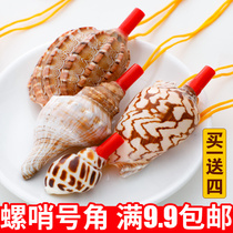Natural conch horn childrens shell toy small snail super large conch shell crafts can blow the horn whistle