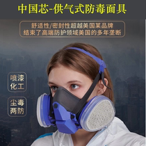 Fabid gas gas mask dust mask anti industrial dust spray paint head mounted liquid silicone mask