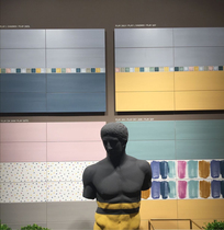Italy imported imola bee tile full range