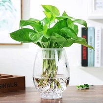 Creative simple transparent glass vase hydroponic green plant flowers flower flower flower vase living room ornaments fish tank