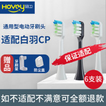 Electric toothbrush head suitable for white feather CP sonic bristles replacement brush head whitening bright white adult cleaning type