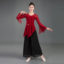 Classical dance clothes for teachers special Chinese dancers practice tops Body rhyme clothes yarn clothes large size folk dance performance elegant