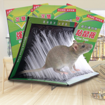5 Strong sticky mouse board mouse paste mousetrap repelling rodent control rat glue home