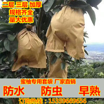 Grapefruit bagging Honey pomelo early ripening special bagging Sha Tin pomelo insect-proof waterproof rain-proof bird-proof mosquito-proof gold grapefruit bag