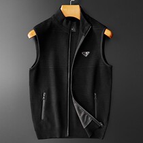 Tide brand 2021 autumn and winter New Korean fashion light luxury wool knitted jacket men slim stand neck vest