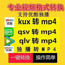 Tencent Video iQiyi Video Youku Video qlv qsv kux to mp4 Converter transcoding tool