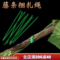 The rattan bundle rope ties the grass to death at once