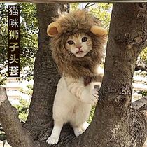 Cat lion headgear small pet fight golden dog headdress dress up hat cute funny photo props Net Red
