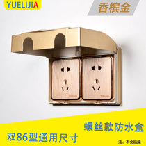 Double 86 champagne gold waterproof case two-position conjoined switch socket splash box kitchen bathroom power protection cover