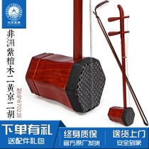 Beijing Xinghai Xipi Jingerhu 87022E African rosewood material polished professional string instrument