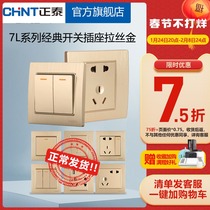 Chint switch panel household NEW7L brushed gold wall air conditioner 16A with five holes with usb socket porous