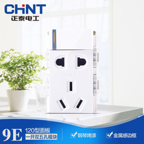 Chint Electric 120 Switch Socket Panel NEW9E One Open Five Hole Dual Control Module