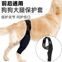 Pet leg fracture fixed protector patella protector dog front and rear legs auxiliary lame knee pad postoperative injury