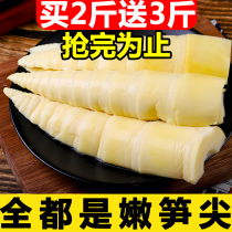 (Fu Nong e-commerce) bamboo shoots fresh 5kg Jiangxi wild bamboo shoots tip farmhouse crispy bamboo shoots hot pot bamboo shoots cold bamboo shoots