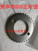 K5 T4 Zhenglin M4 MX6 whiteboard machine cheetah Zongshen CB250 timing tooth small chain sprocket