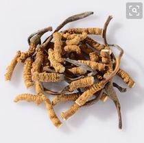 11 grams of Cordyceps sinensis Tibet Nagqu authentic Cordyceps 3 roots 1G Non-Qinghai Yushu