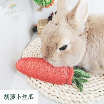 Carrot-shaped loofah molars and teeth cleaning toys good-looking fun set in a rabbit chincho guinea pig dog M11